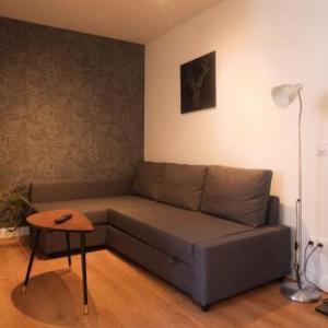 Cozy and Convenient Studio Near Airport in Madrid