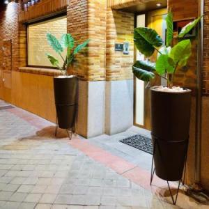 Hostal Granado
