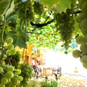Apartment Olivar madrid 