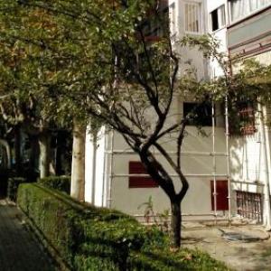 madrid Rent 3