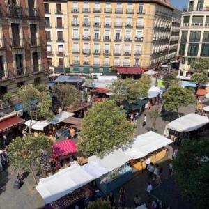 Guest houses in madrid 