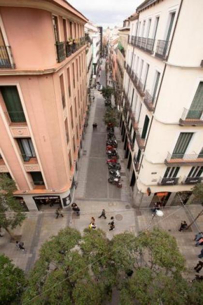 Hostal Los Alpes - image 10