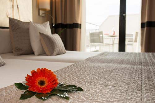 Hotel Paseo del Arte a member of Radisson Individuals - image 3