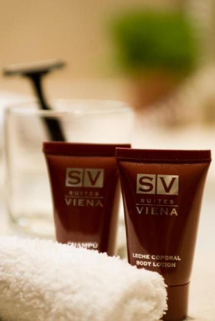 Suites Viena Plaza de España - image 14