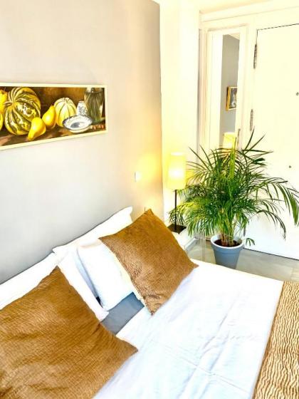 Apartamentos Puerta Del Sol - image 15