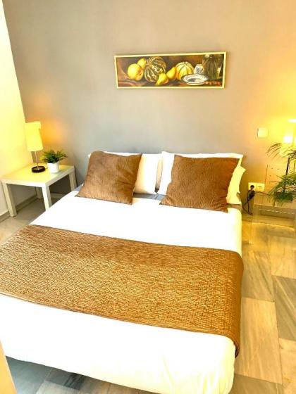 Apartamentos Puerta Del Sol - image 17