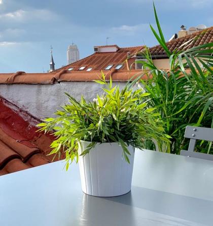 Apartamentos Puerta Del Sol - image 3