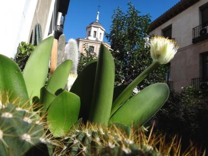 Hostal Horizonte - image 29