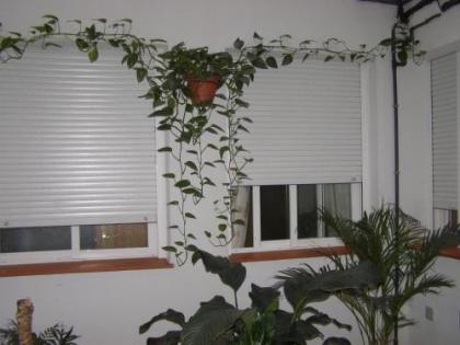 Hostal Residencia Fernandez - image 14