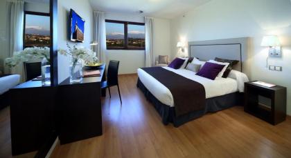 Sercotel Convention Plaza Madrid - image 22