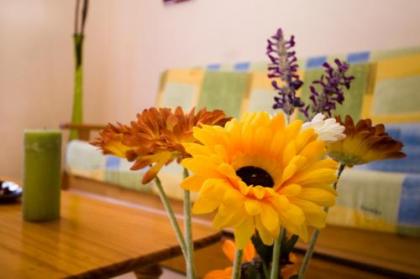 Apartamentos Dana Madrid - image 18