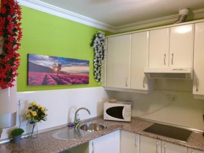 Apartamentos Dana Madrid - image 4