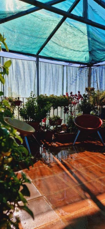 Huespedes Dolcevita Hostel - image 22