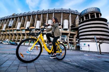 Far Home Bernabeu - image 14