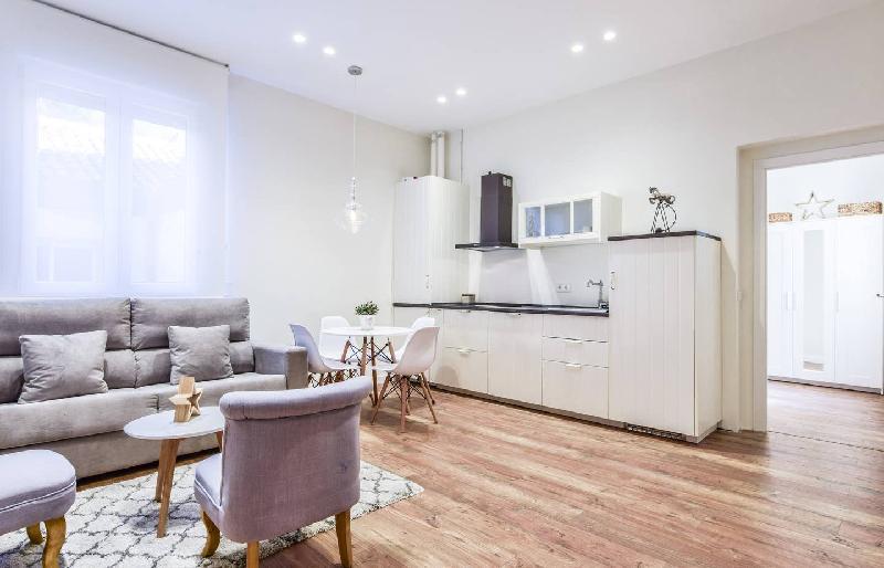 LUXURY APARTAMENT ZONA ATOCHA 6PAX - image 3