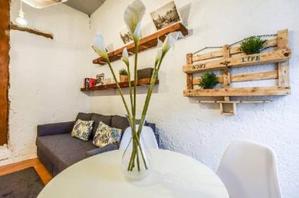 MALASANA  APARTAMENTO CON PATIO 6 PAX - image 10