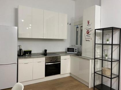 Aluche Aparment C - image 10