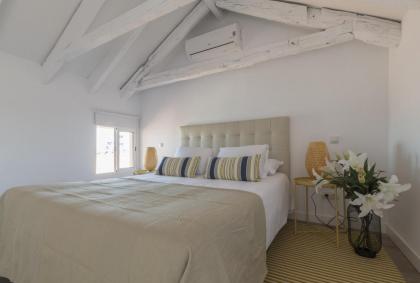 MIT House Plaza Mayor Attic en Madrid - image 16
