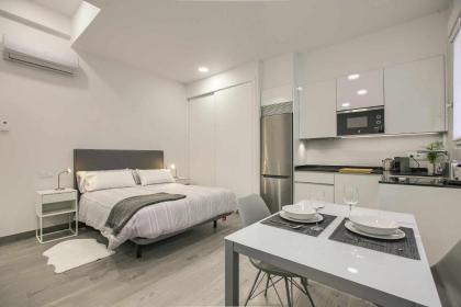 RiNa MADRID apartamento 2