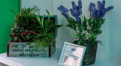 OXYGEN HOSTEL - image 26