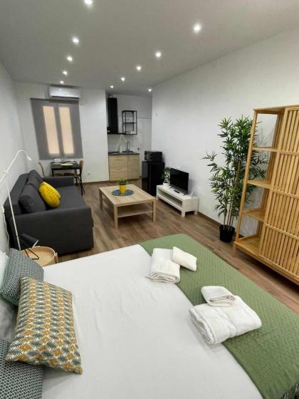 Estudio RetiroIbiza I - image 10