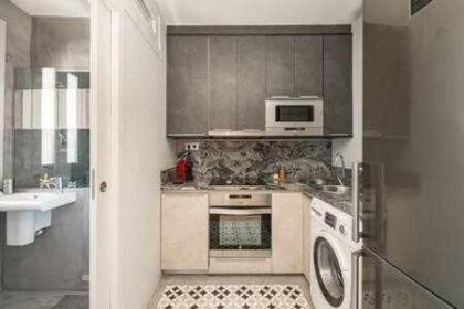 Buenavista Centro - image 30