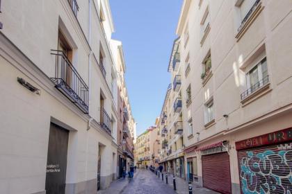 Encantador piso en La Latina - Madrid Centro - image 28